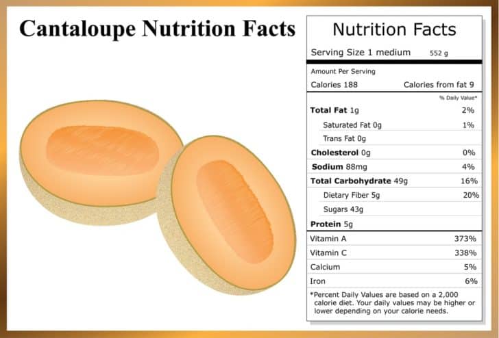 what-are-the-different-cantaloupe-options