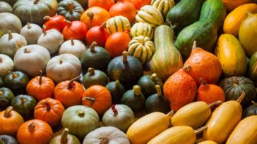 Bunches of various colorful squash.