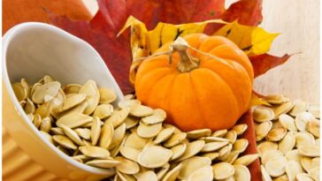 Parts of the Pumpkin and why they are important