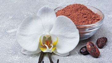 vanilla-bean-powders