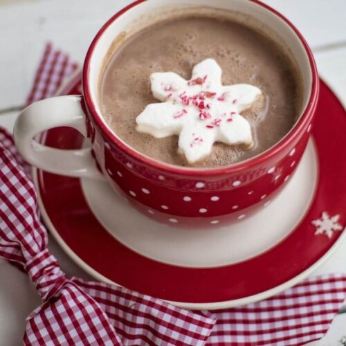 How To Make Hot Chocolate For A Large Crowd Homeperch
