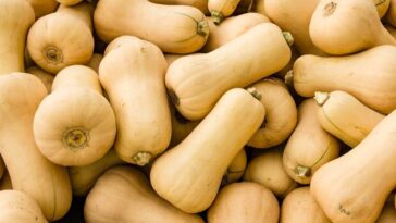 butternut-squash