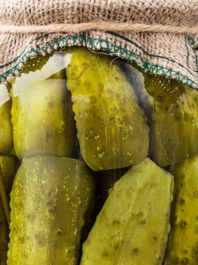 How to Make Hot Pickles from Store Bought Pickles Homeperch 2023