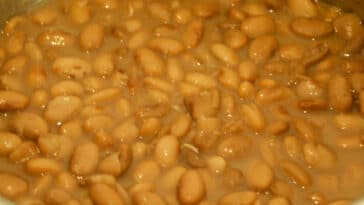 pinto-beans-in-crockpot