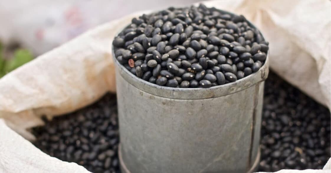 how-to-make-canned-black-beans-better-homeperch