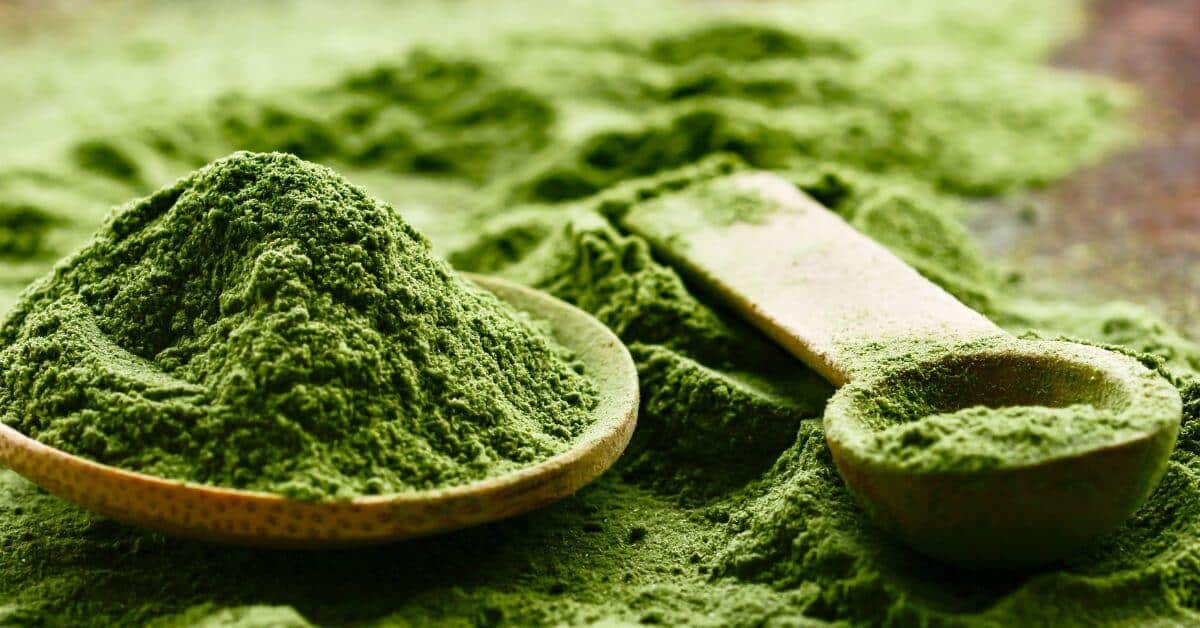 https://www.homeperch.com/wp-content/uploads/2022/10/green-powder.jpg