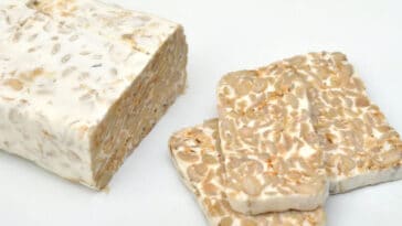 tempeh