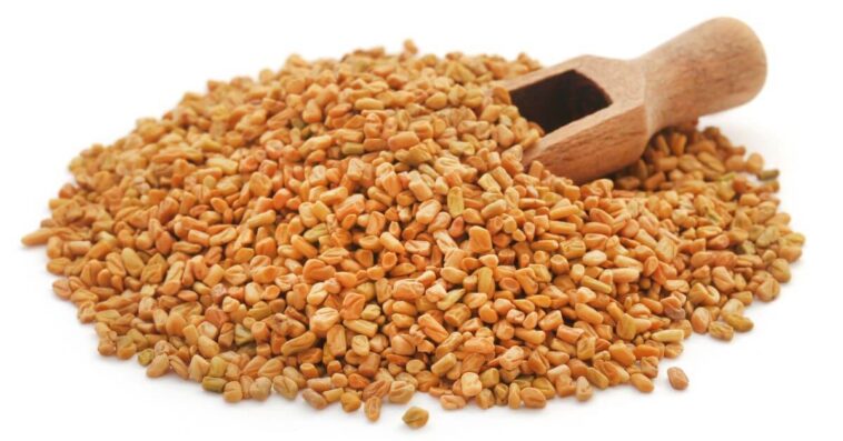 How To Cook With Fenugreek Seeds Homeperch