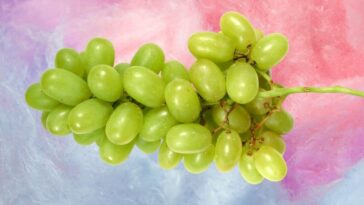 cotton-candy-grapes