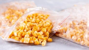 frozen-corn