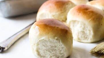 dinner-rolls