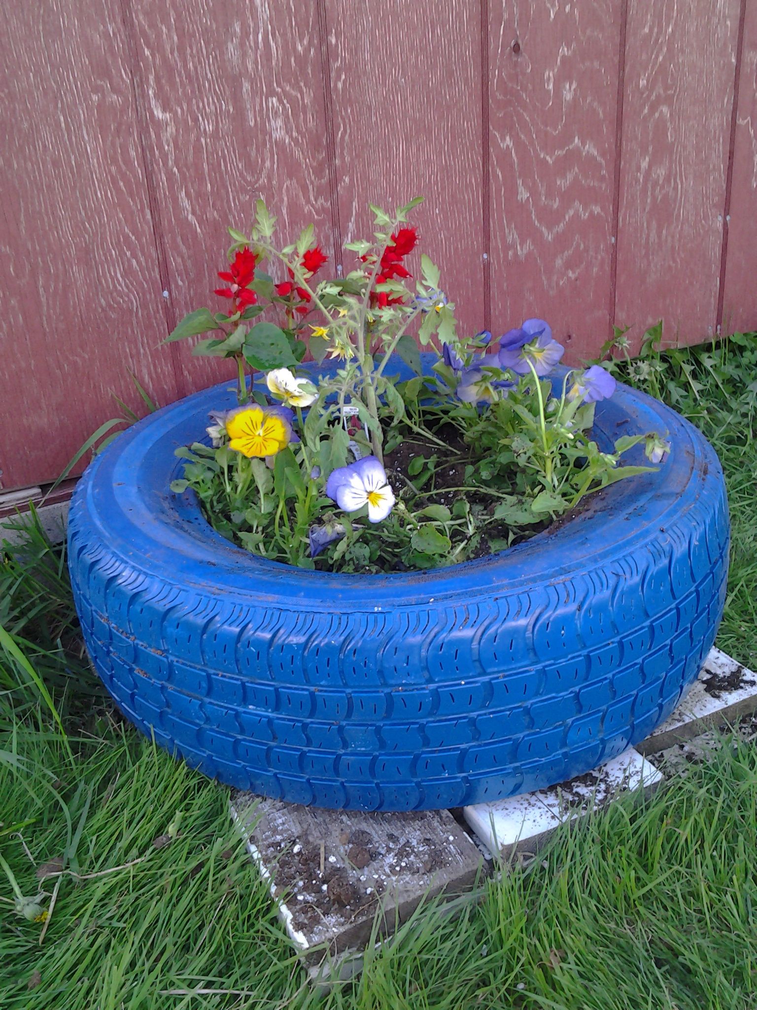 Bold Blue Tire Planter