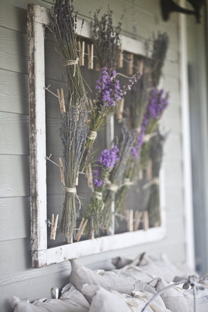 Charming Rustic Lavender Display Window