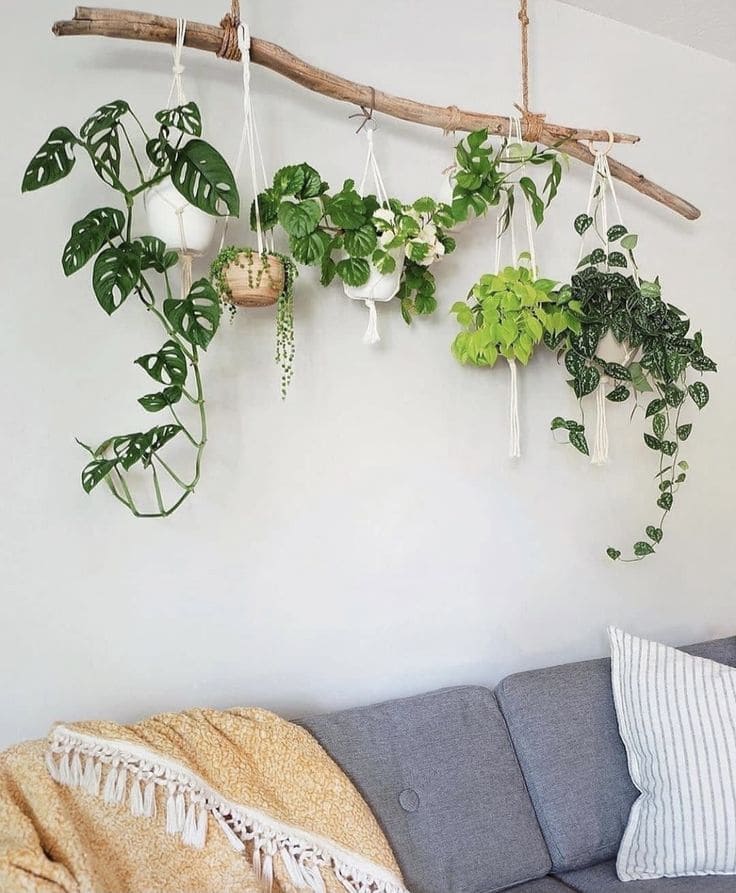 Lush and Eco-Friendly Wall Garden