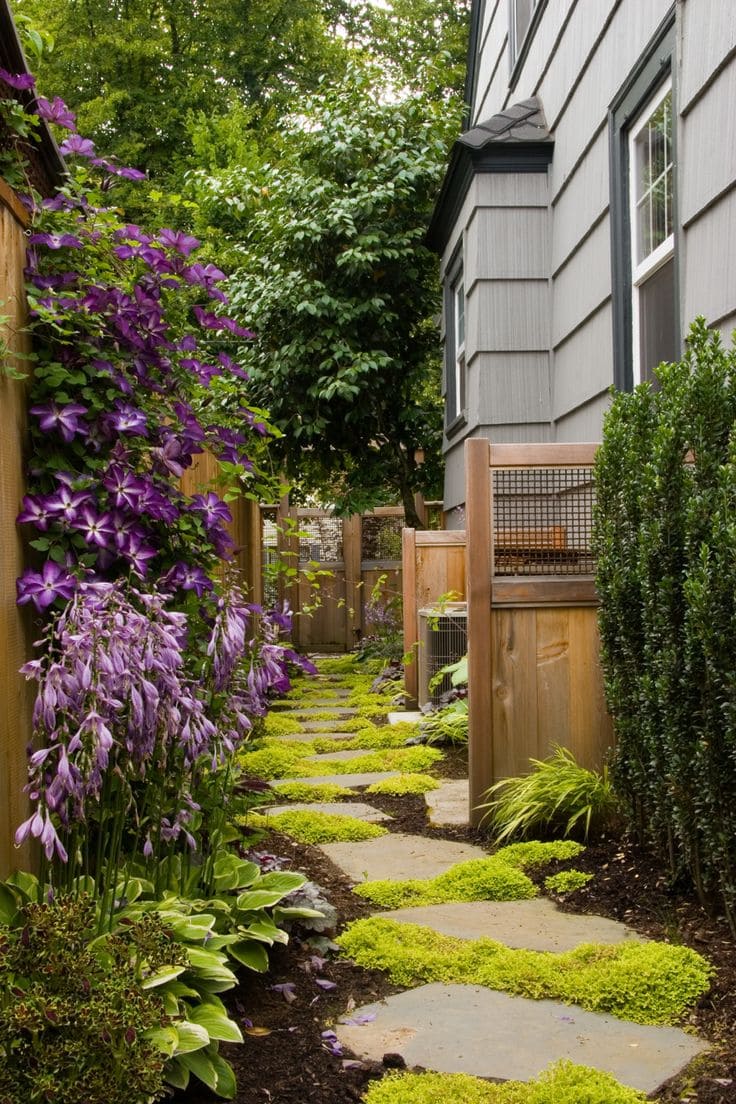 Charming Side Yard with Vibrant Blooms