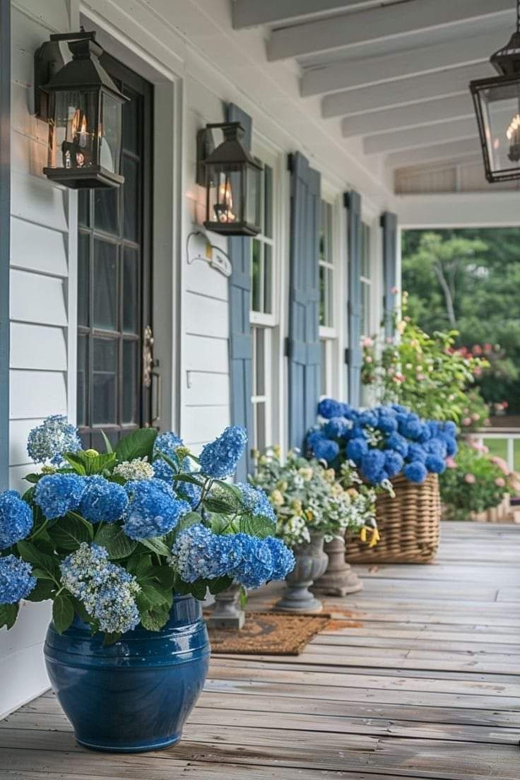 Classic Hydrangea Elegance for Spring Porches