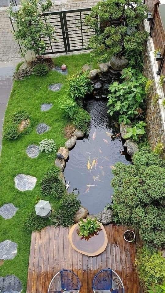 Enchanting Backyard Koi Pond Oasis