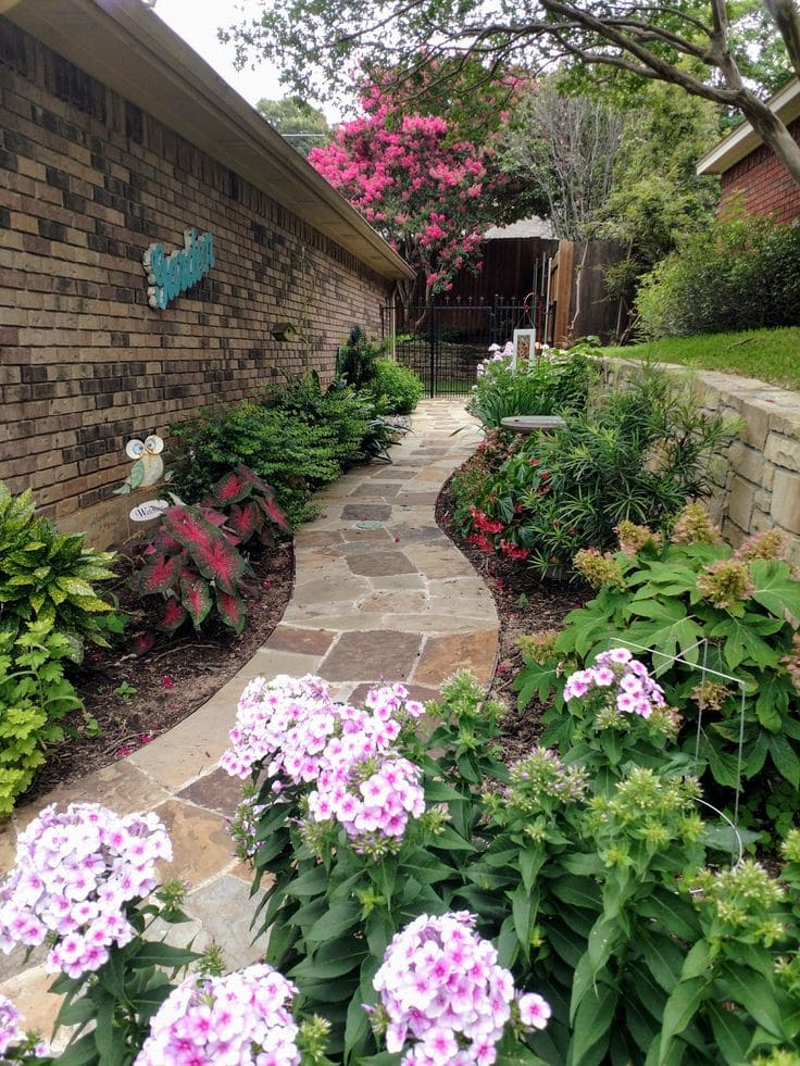 Floral Pathway with Vibrant Appeal