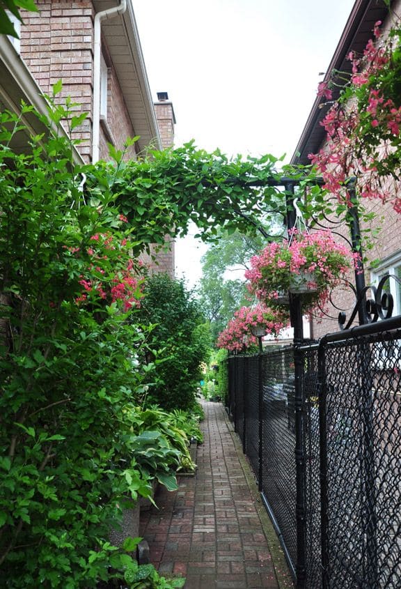 Green Archway for Side Yard Elegance