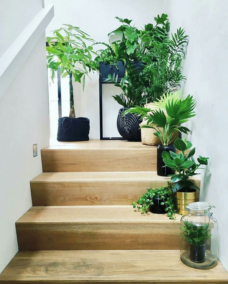 Greens On Each Step