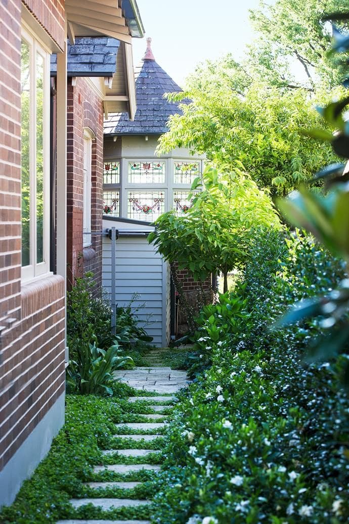 Lush Green Pathway with Charming Accents