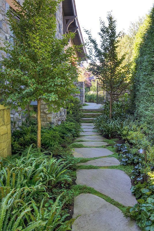 Lush Stone Pathway for Side Yard Serenity