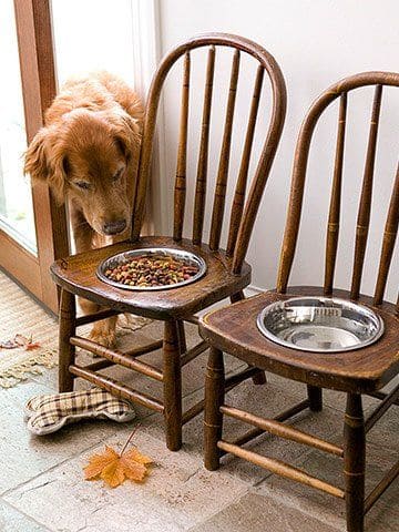 Rustic Elevated Pet Feeding Chairs