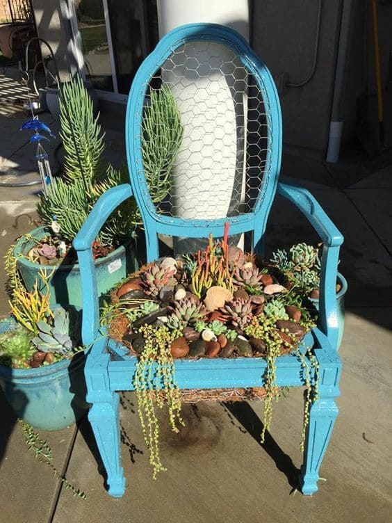 Vibrant Succulent Chair Planter Creation