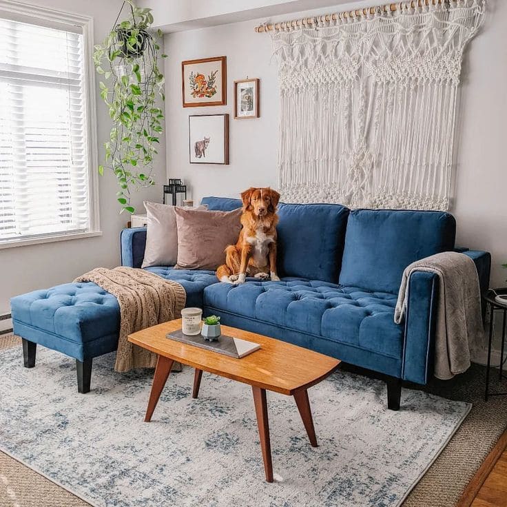 Cozy Boho Blue Couch Living Room