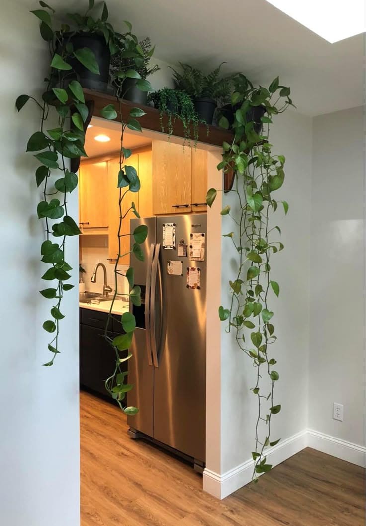 Lush Hanging Greenery for a Refreshing Wall