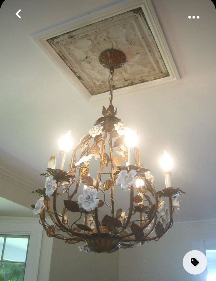 Radiant Chandelier Frame Ceiling Art